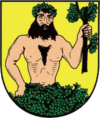 Znak obce